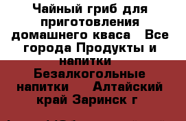 Чайный гриб для приготовления домашнего кваса - Все города Продукты и напитки » Безалкогольные напитки   . Алтайский край,Заринск г.